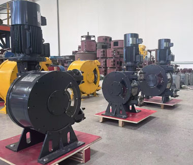 軟管泵配套加藥裝置（出口智利）